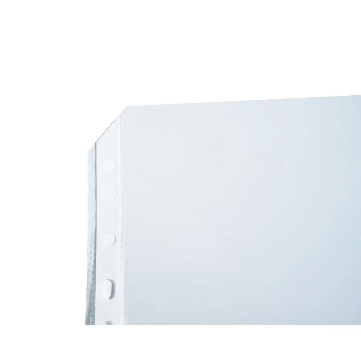 Sachet 20 poch. perforees pour EXACTIVE photo du produit