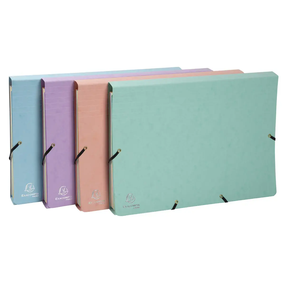 Trieur avec élastiques - 12 compartiments- 34 x 24,5 cm - Coloris pastel - EXACOMPTA photo du produit
