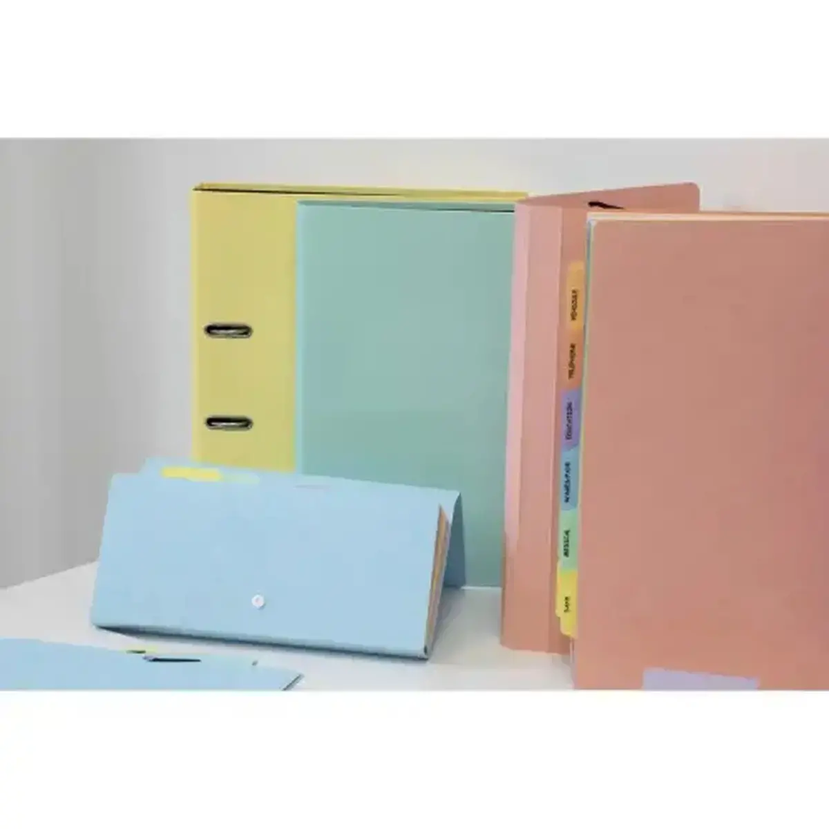 Trieur avec élastiques - 12 compartiments- 34 x 24,5 cm - Coloris pastel - EXACOMPTA photo du produit