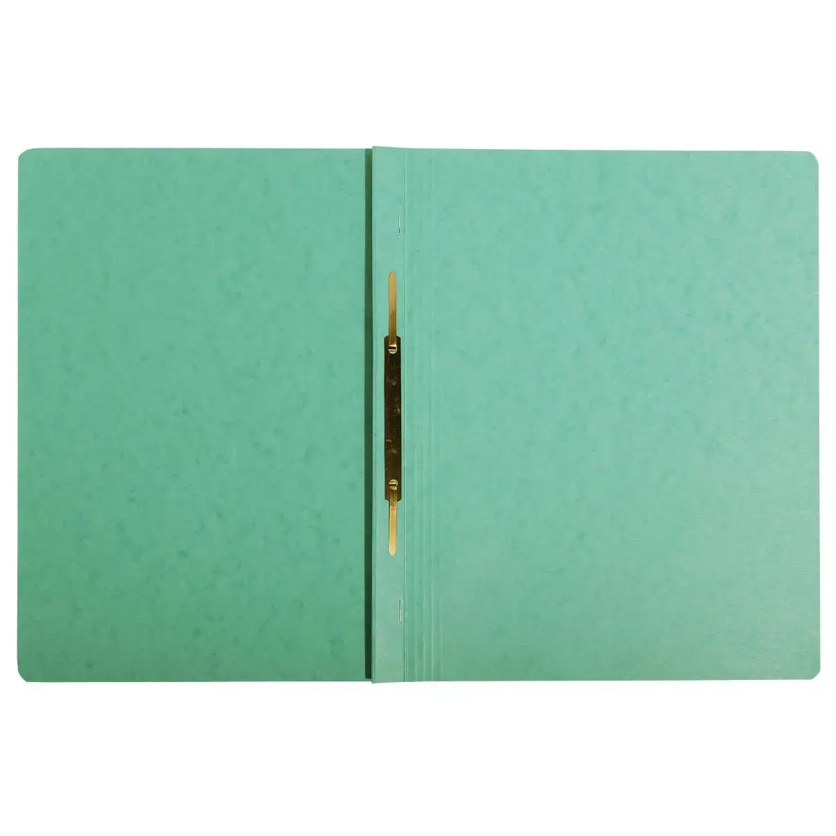 Chemise a lamelles C.L 355g A4 vert photo du produit