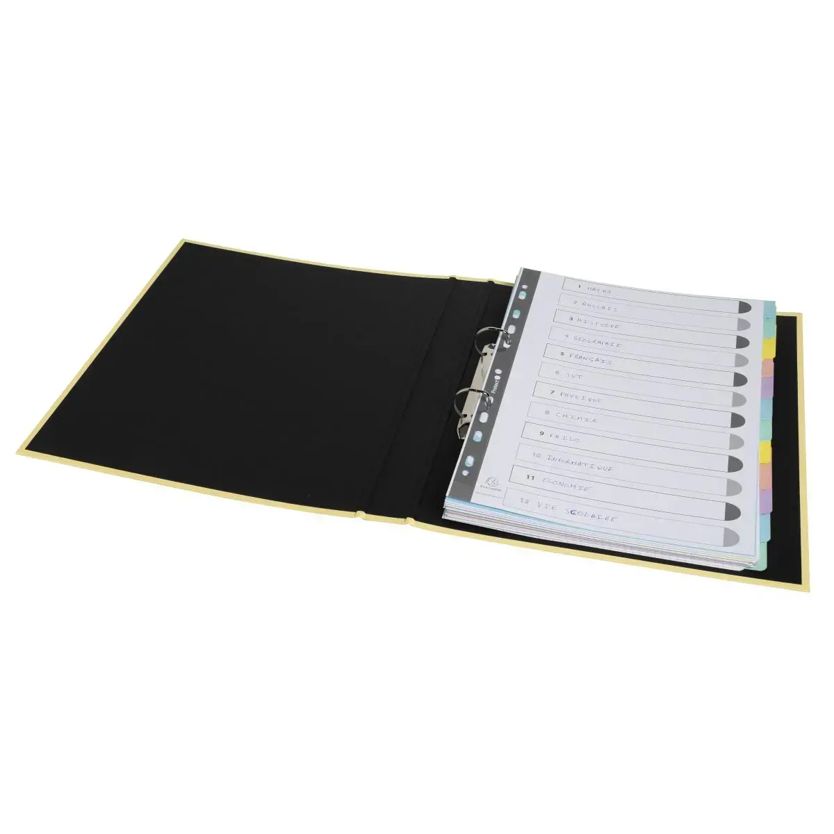 Intercal. 12P A4 C.lustree 400g AQUAREL photo du produit