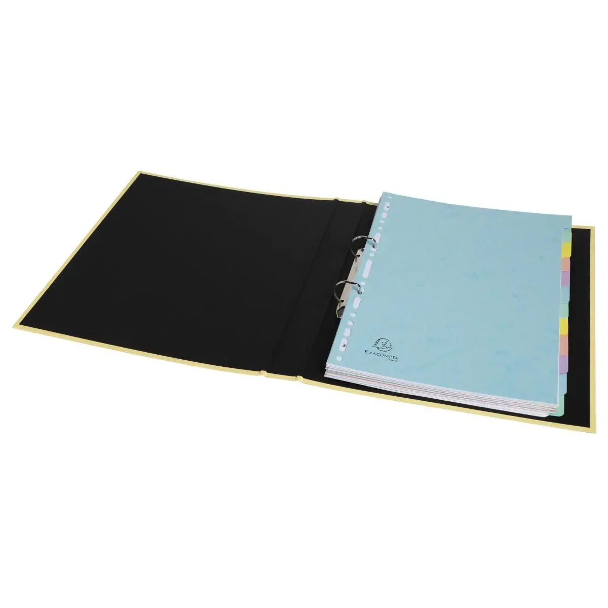 Intercal. 12P A4 C.lustree 400g AQUAREL photo du produit