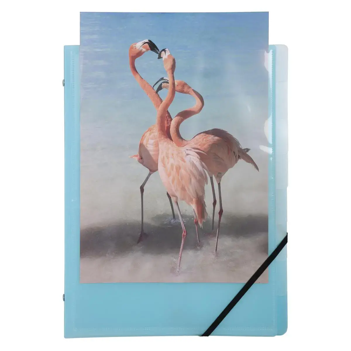 Trieur 8Comp 3 Rab. KREACOVER PASTEL ass photo du produit