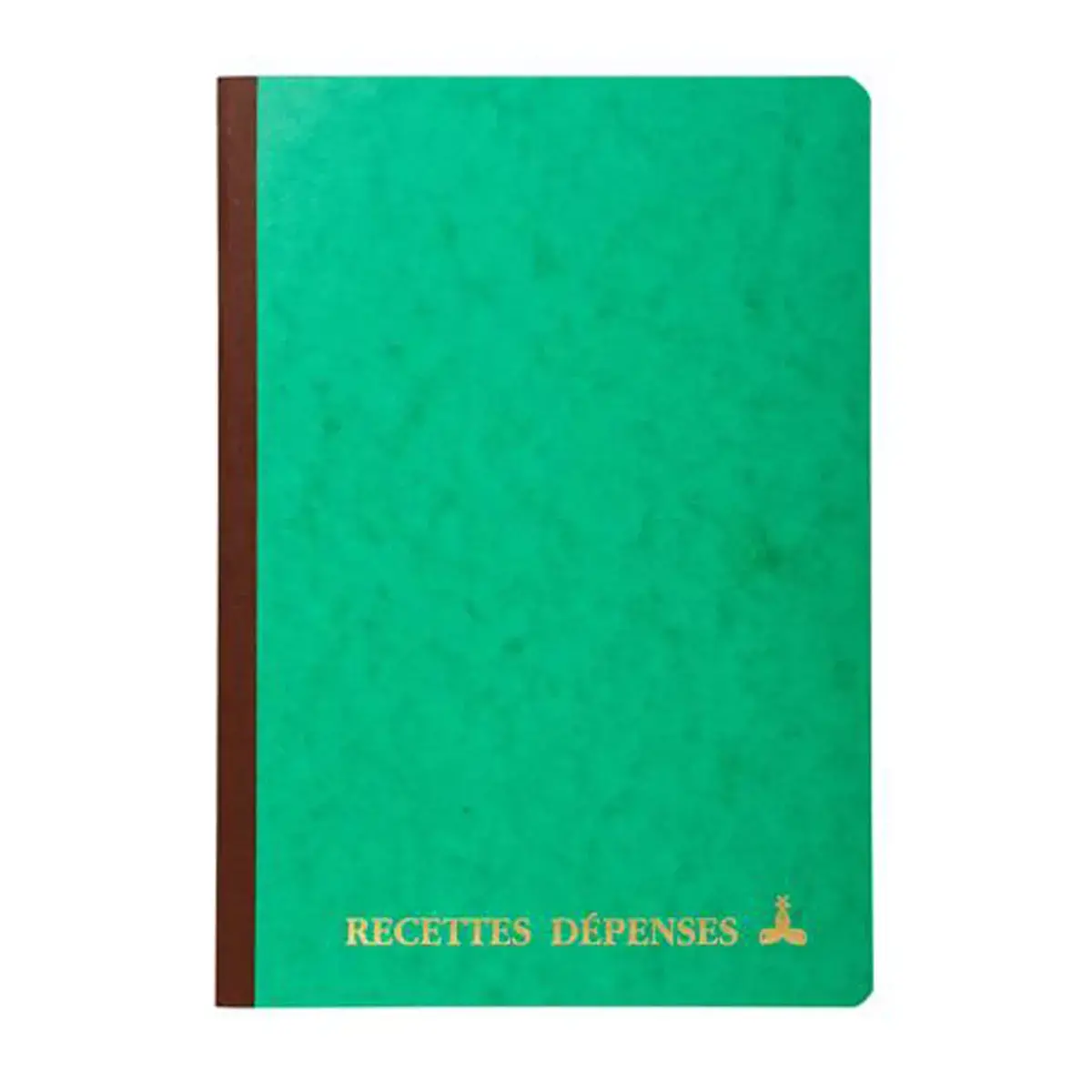 PIQURE RECETTES DEPENSES 29,7X21 photo du produit