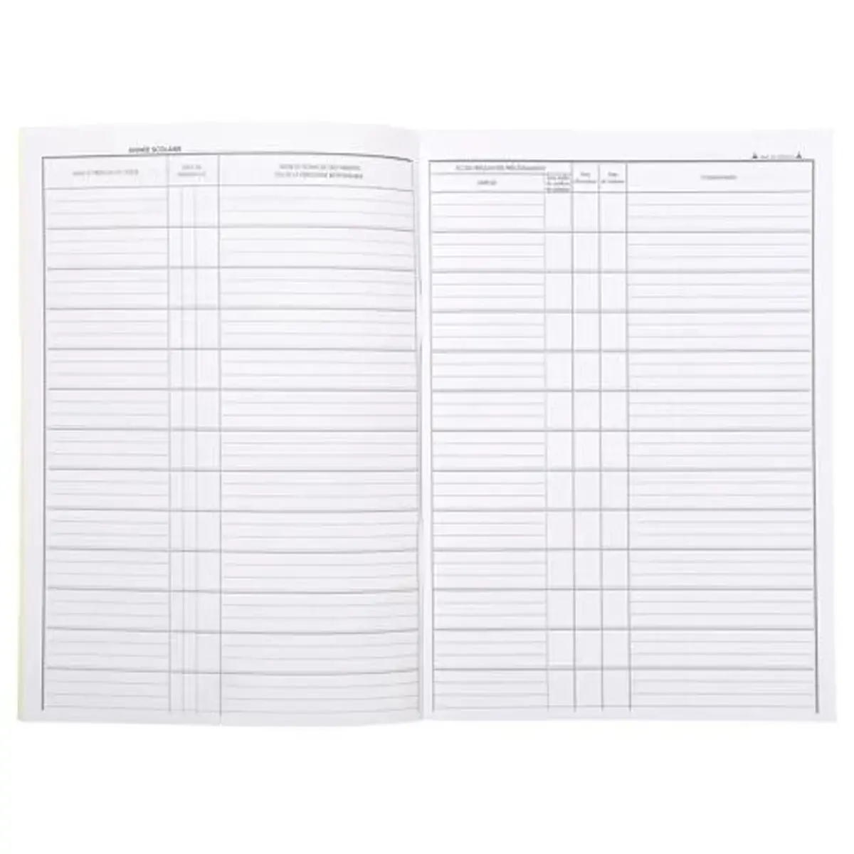 Reg. matricule 377 eleves 297x210 FSC&reg; photo du produit