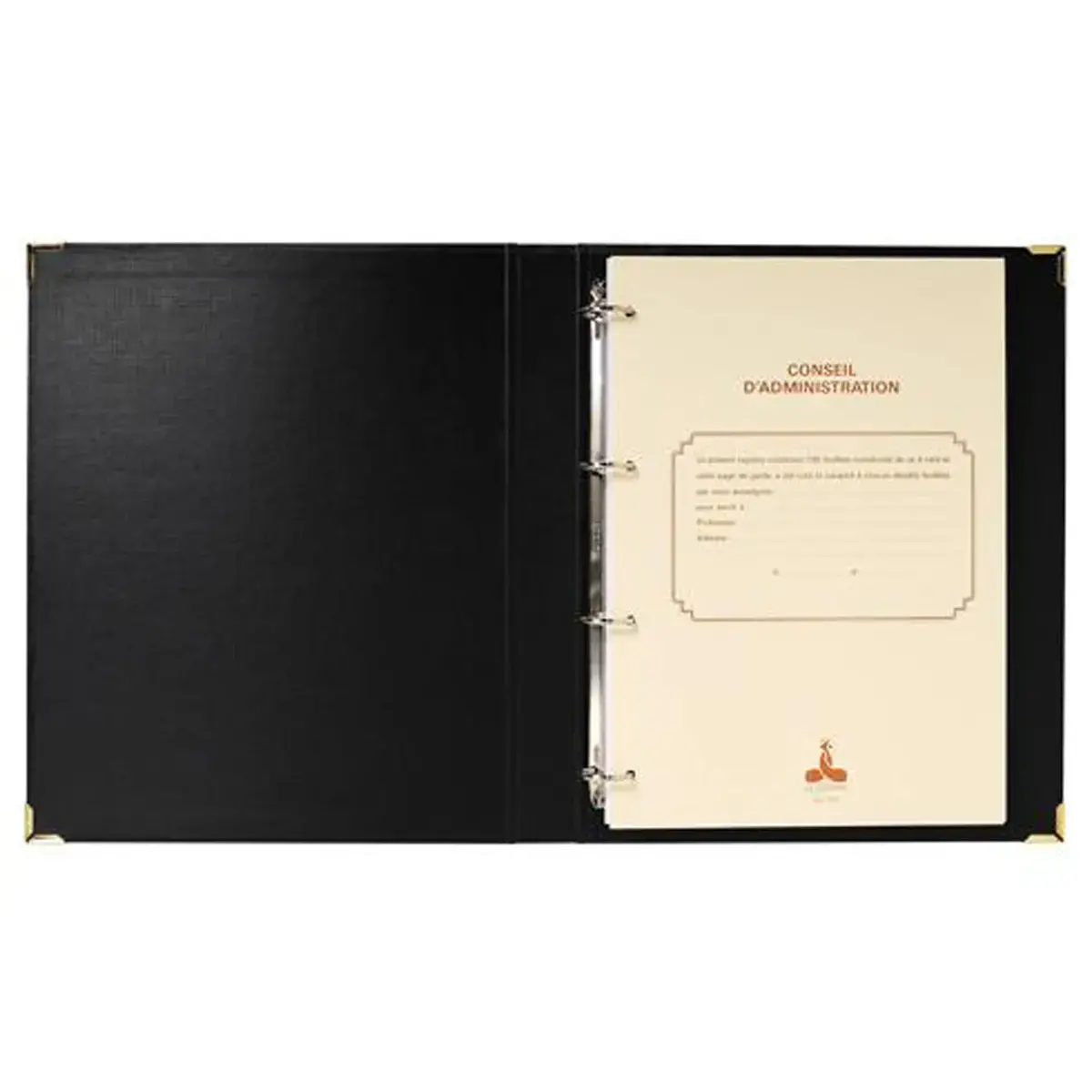 REL.CONSEIL ADM 100FT 90G 2 GDES photo du produit