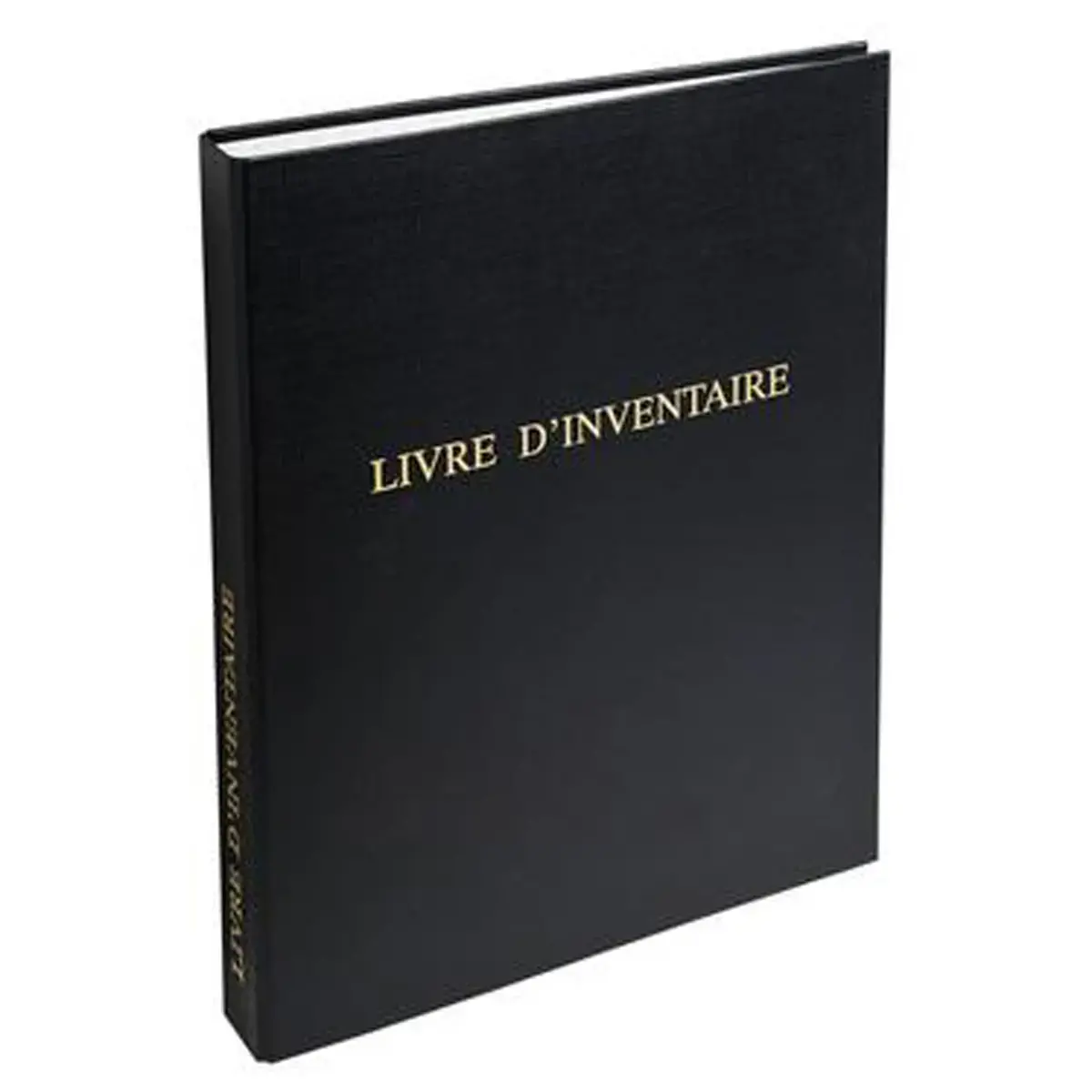 REL.LIVRE INV+100 FTS 80G+1GD PP photo du produit