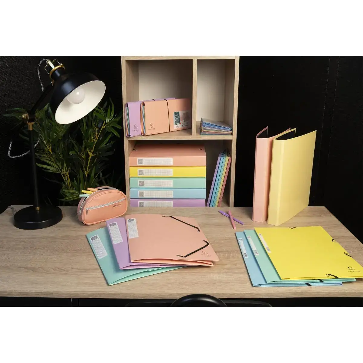 Cartobox A4 D40mm cte lust. Aquarel ass. photo du produit