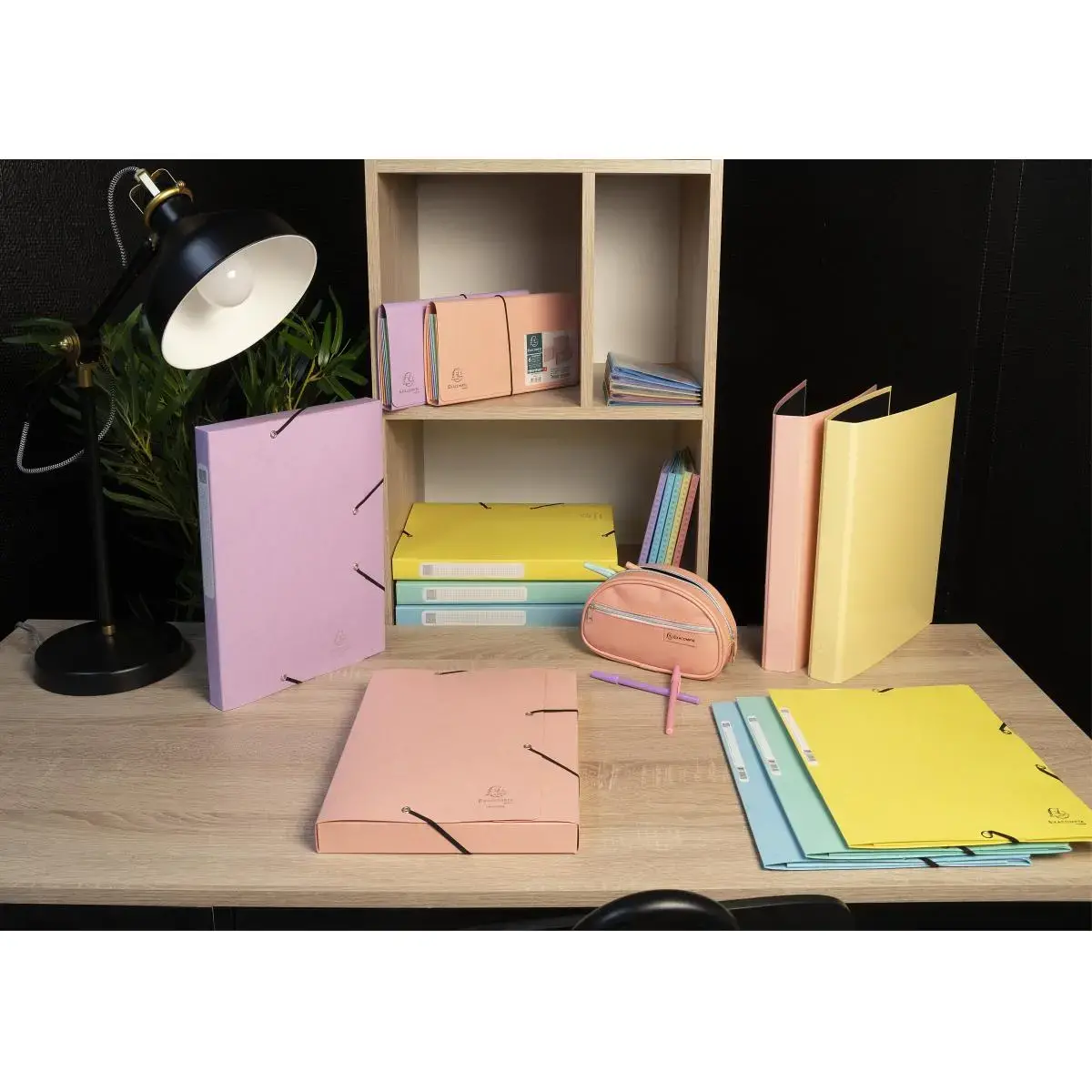 Cartobox A4 D40mm cte lust. Aquarel ass. photo du produit