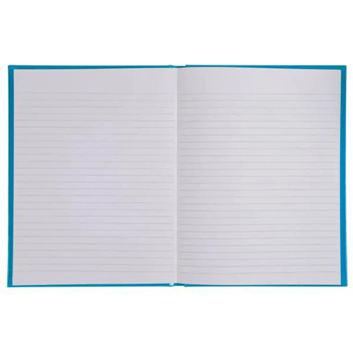 REG IDERAMA 220x170 192P LIGNE BLEU FSC&reg; photo du produit