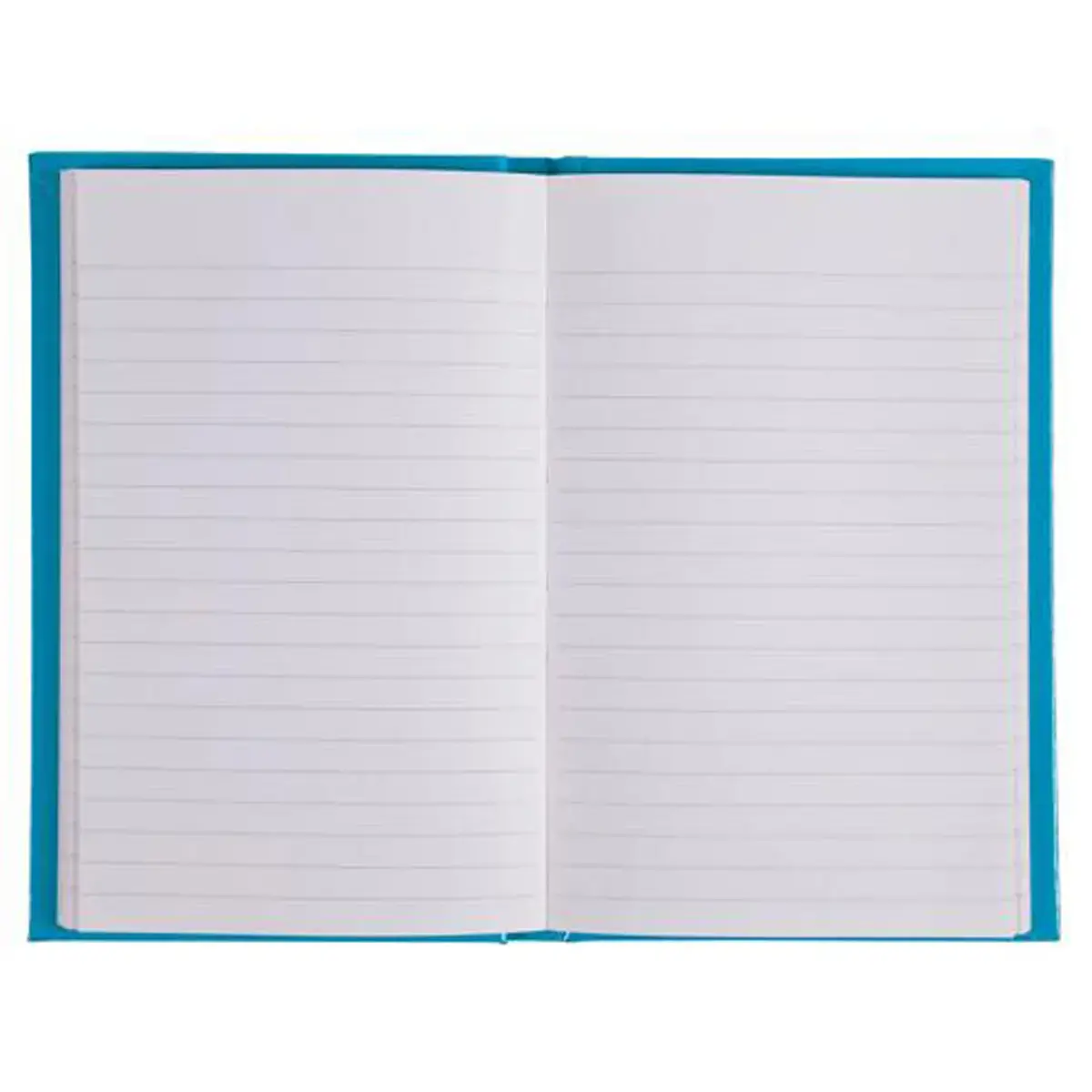 REG IDERAMA 170x110 192P LIGNE BLEU FSC® photo du produit