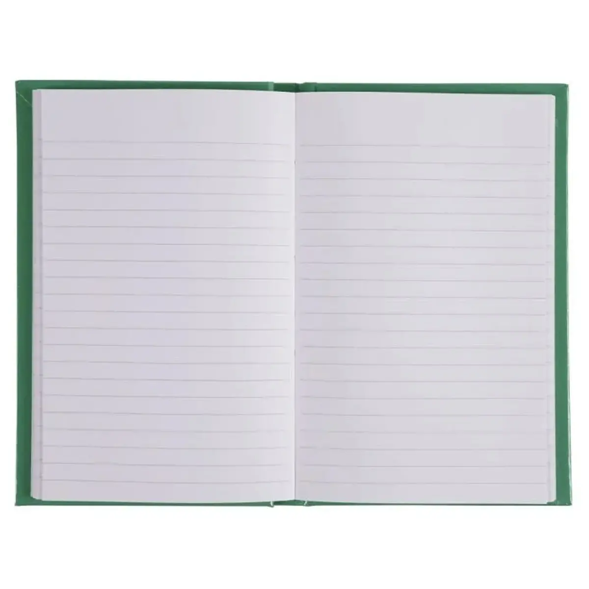 Carnet Iderama lign&eacute; - 17 x 11 cm - 192 pages - Vert - FSC&reg; - Exacompta photo du produit