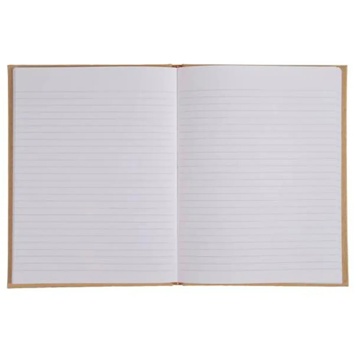 REG NATURE 170x110 192P LIGNE MARRON FSC&reg; photo du produit
