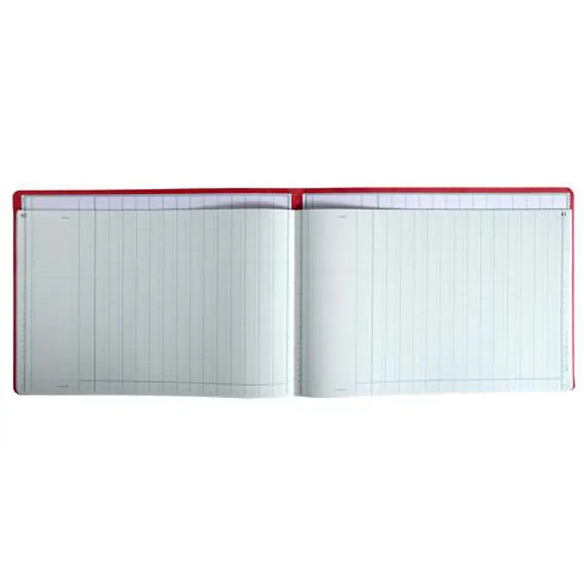 PIQURE 27X37.5 15 COLONNES PARESSEUSE photo du produit