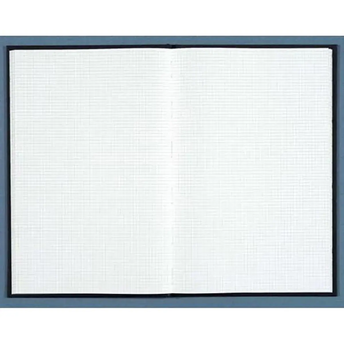 Registre quadrill&eacute; 5 x 5 mm non foliot&eacute; - 31,5 x 24,5 cm - 200 pages - Exacompta photo du produit