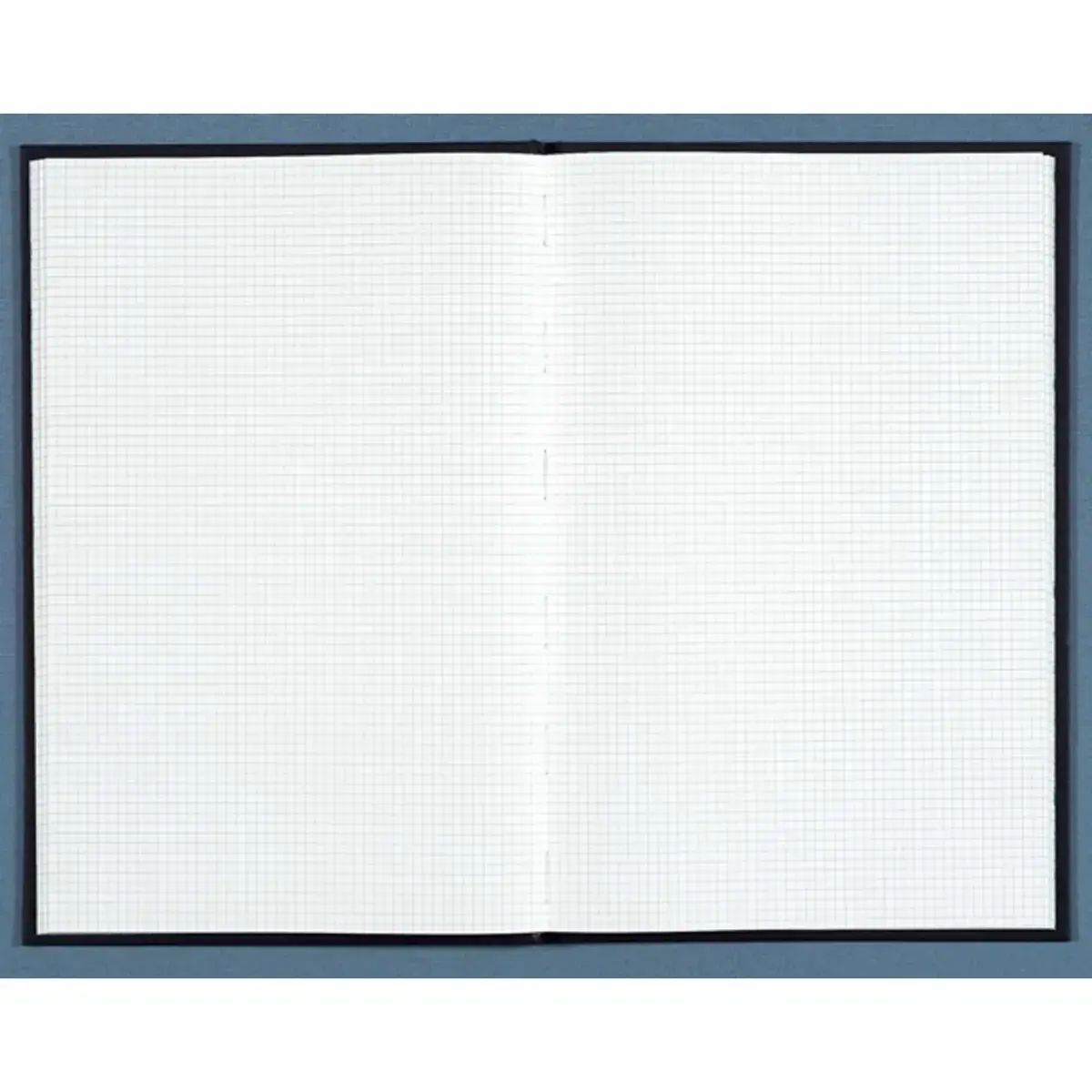 Registre quadrillé 5 x 5 mm non folioté - A4 - 192 pages - Exacompta photo du produit