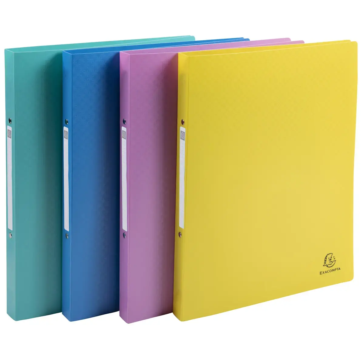 Classeur 2anx 15 mm PP A4 Forever Young - Exacompta photo du produit