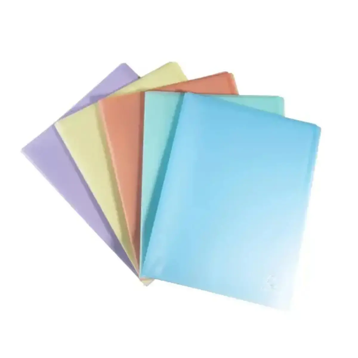 Porte-vues A4 60 vues Chrom. Pastel photo du produit