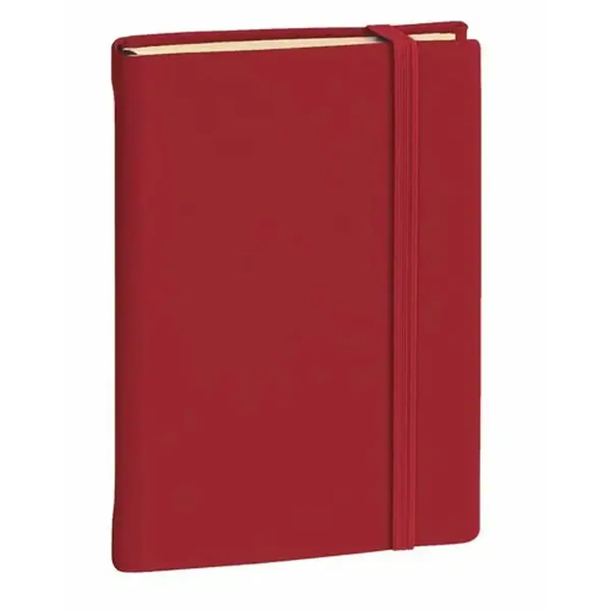 CARNET 24 ligne Silk bordeaux Elast photo du produit