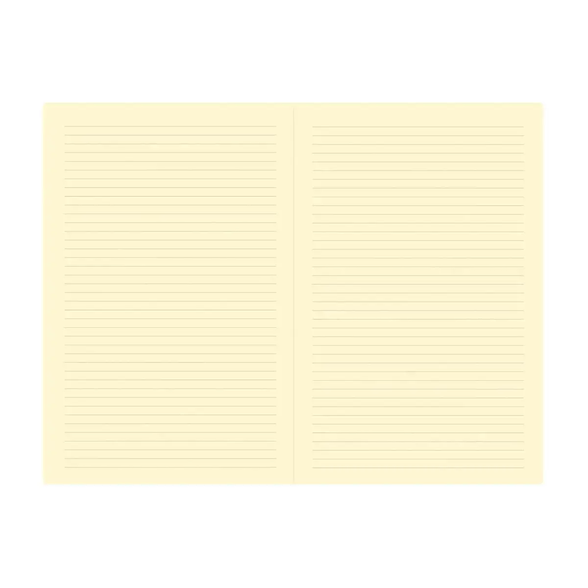 CARNET 15 ligne Silk corail Elast photo du produit