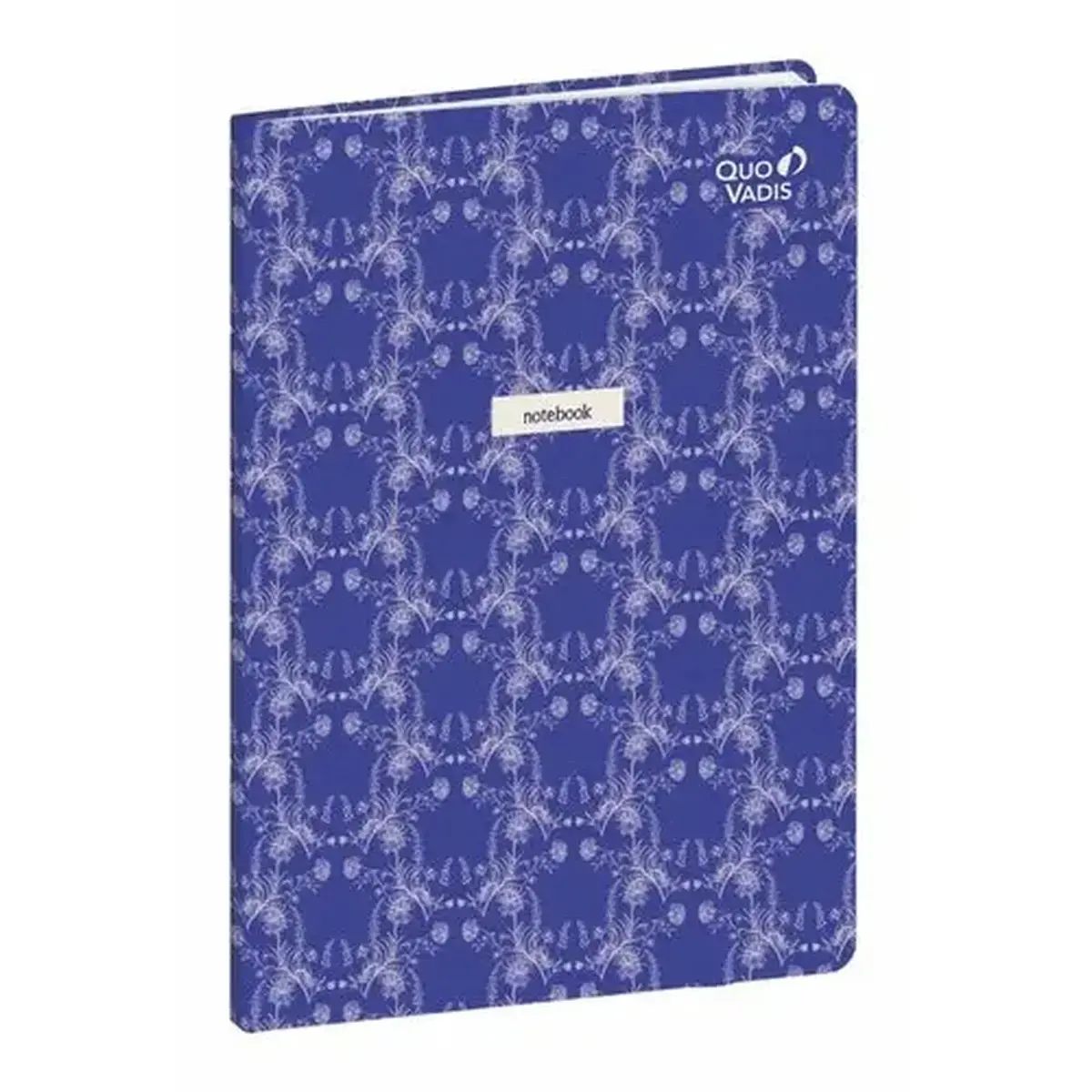 CARNET 21 d-lig Smooth bleuet photo du produit