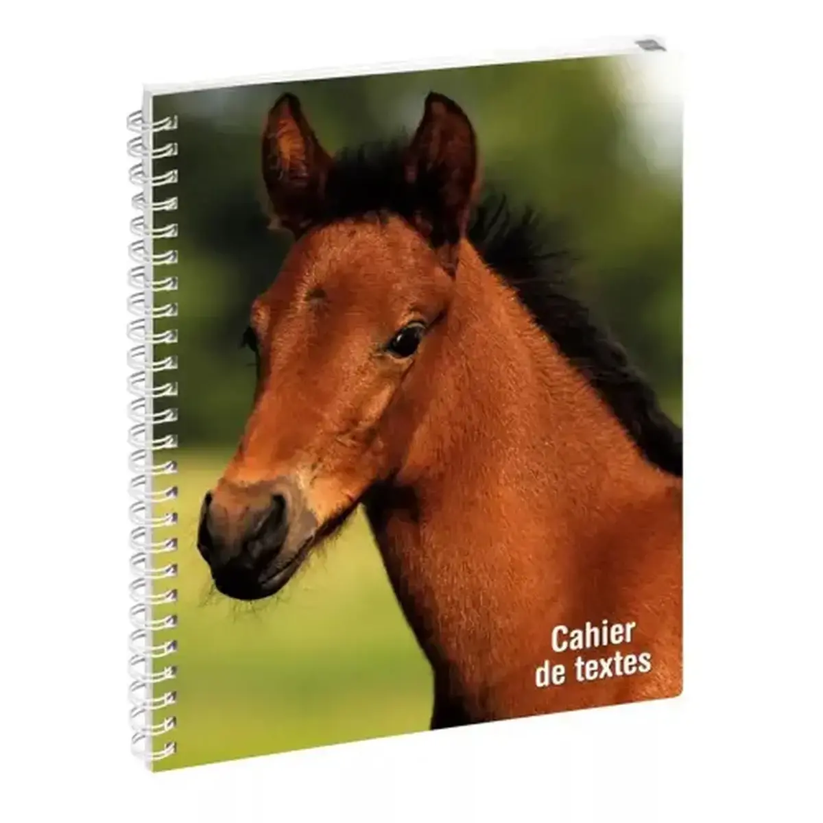 Cahier de texte spirale - A5+ - Cheval - Exacompta photo du produit