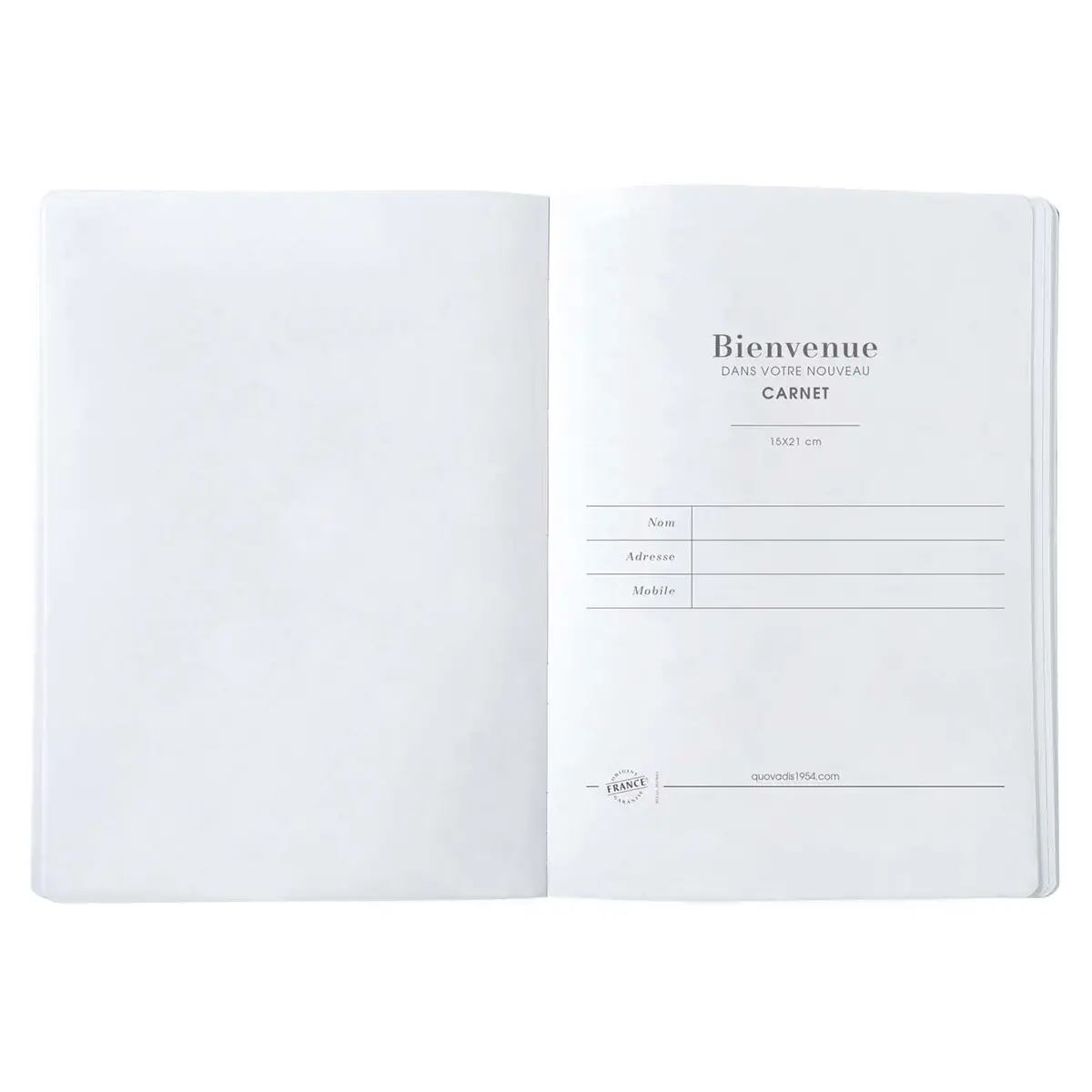 CARNET CREATIF 1521 FR Iconiq serpentin photo du produit