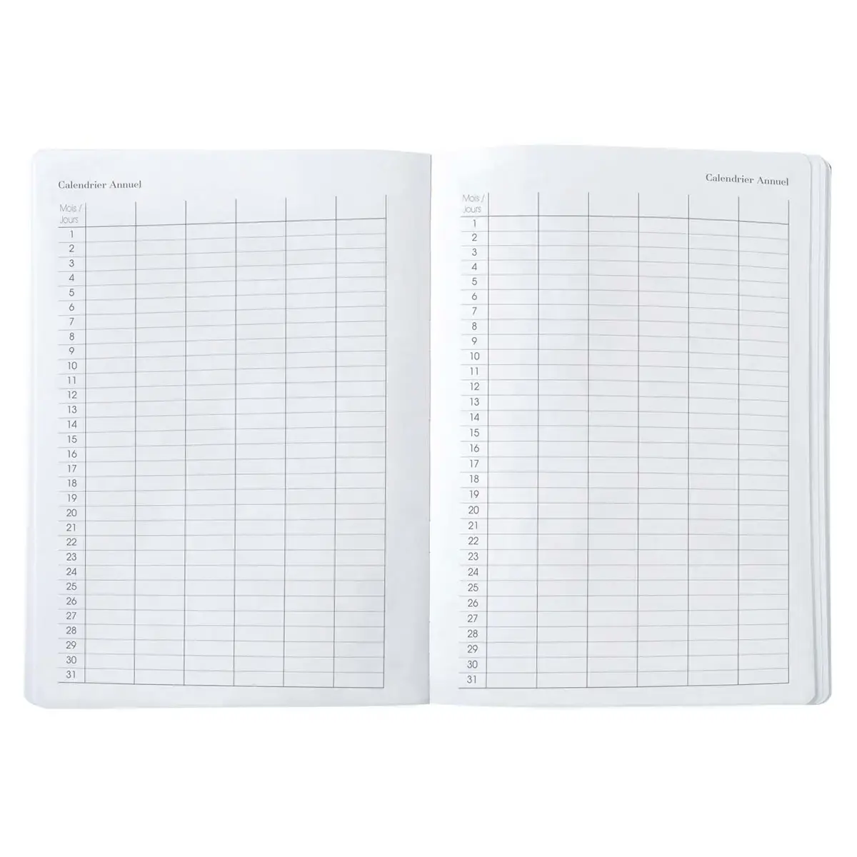 CARNET CREATIF 1521 FR Iconiq serpentin photo du produit
