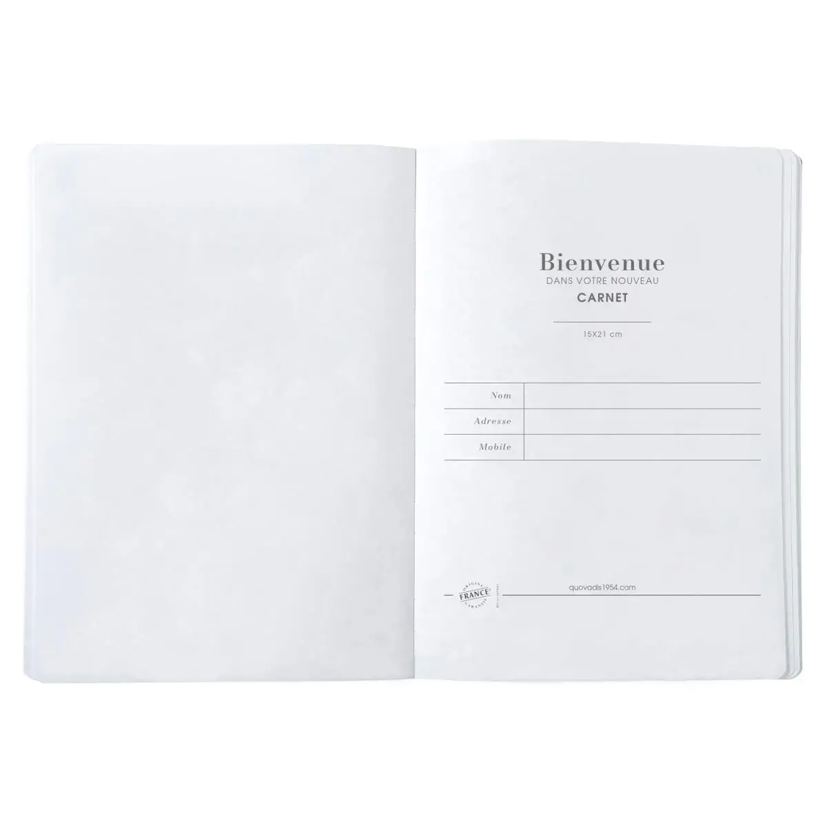 CARNET AUDACIEUX 1521 FR Iconiq prisme photo du produit