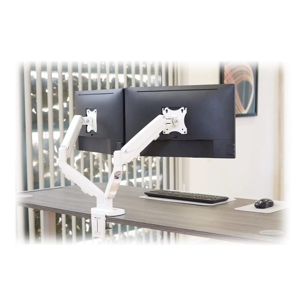 FELLOWES EPPADUAL BLANC photo du produit