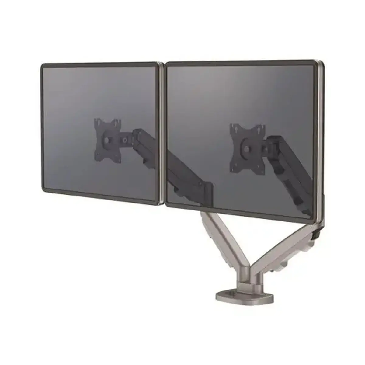 FELLOWES EPPADUAL ARGENT photo du produit