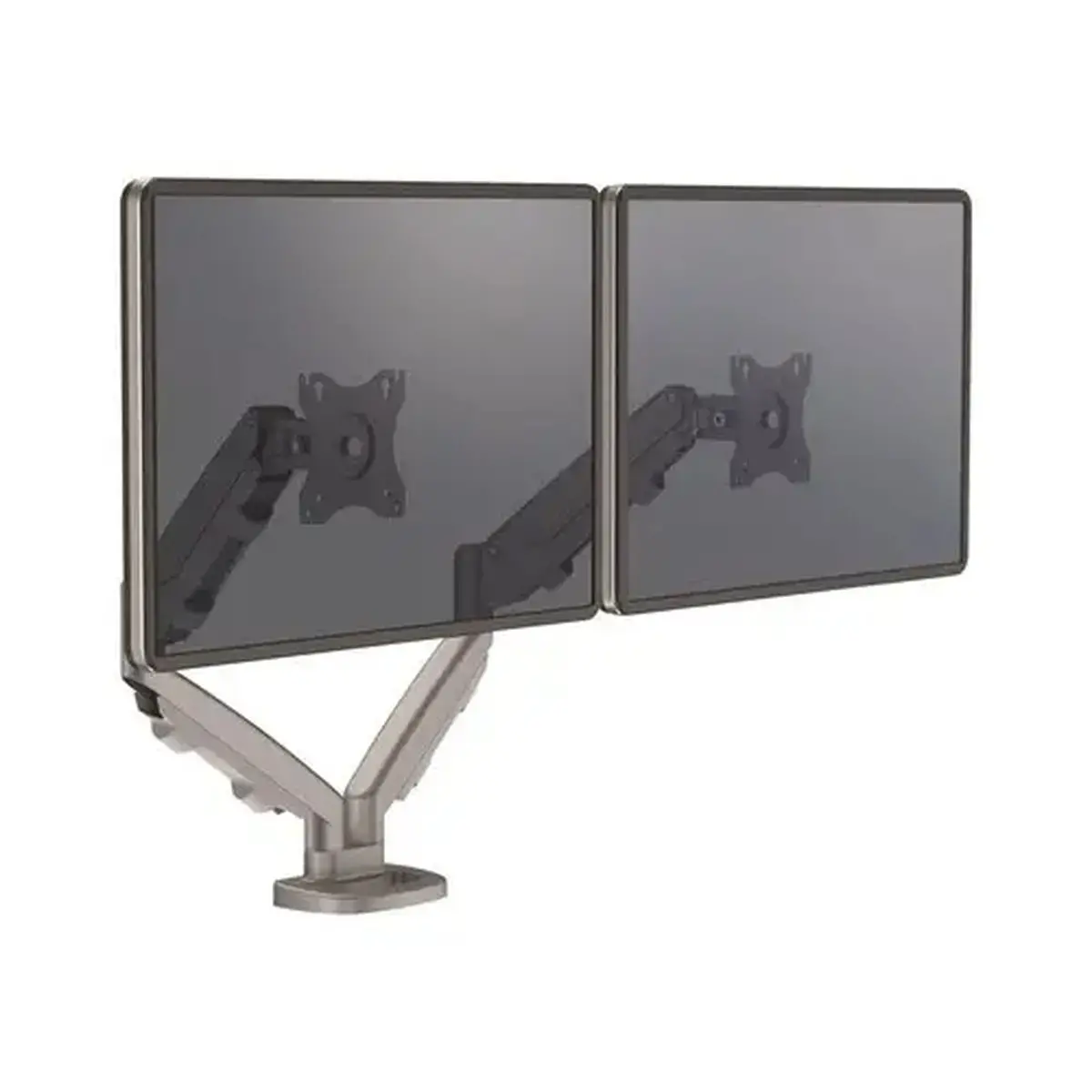 FELLOWES EPPADUAL ARGENT photo du produit