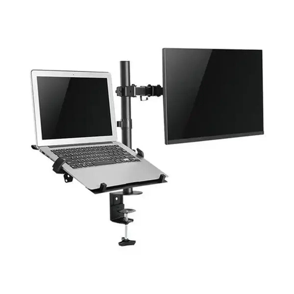 NEWSTAR TFT/Notebook DeskMount up to 32i photo du produit