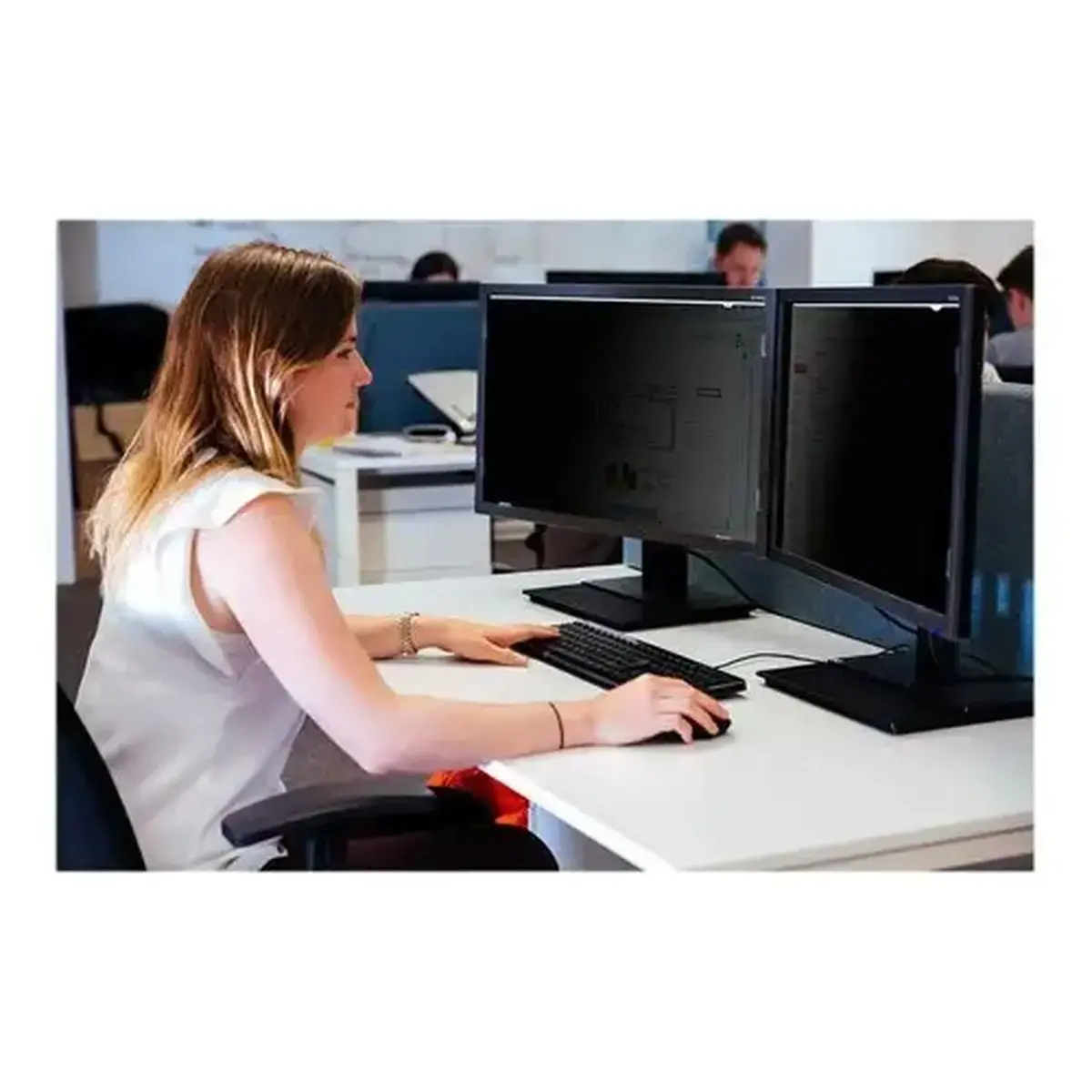TARGUS Privacy Screen 24 Widescreen photo du produit