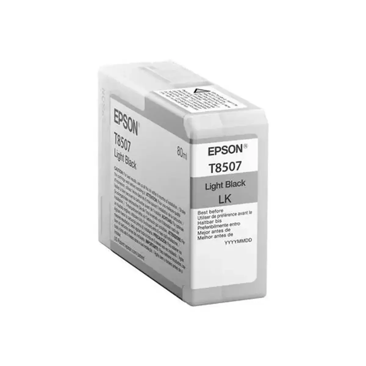 EPSON Singlepack Light Black T850700 photo du produit