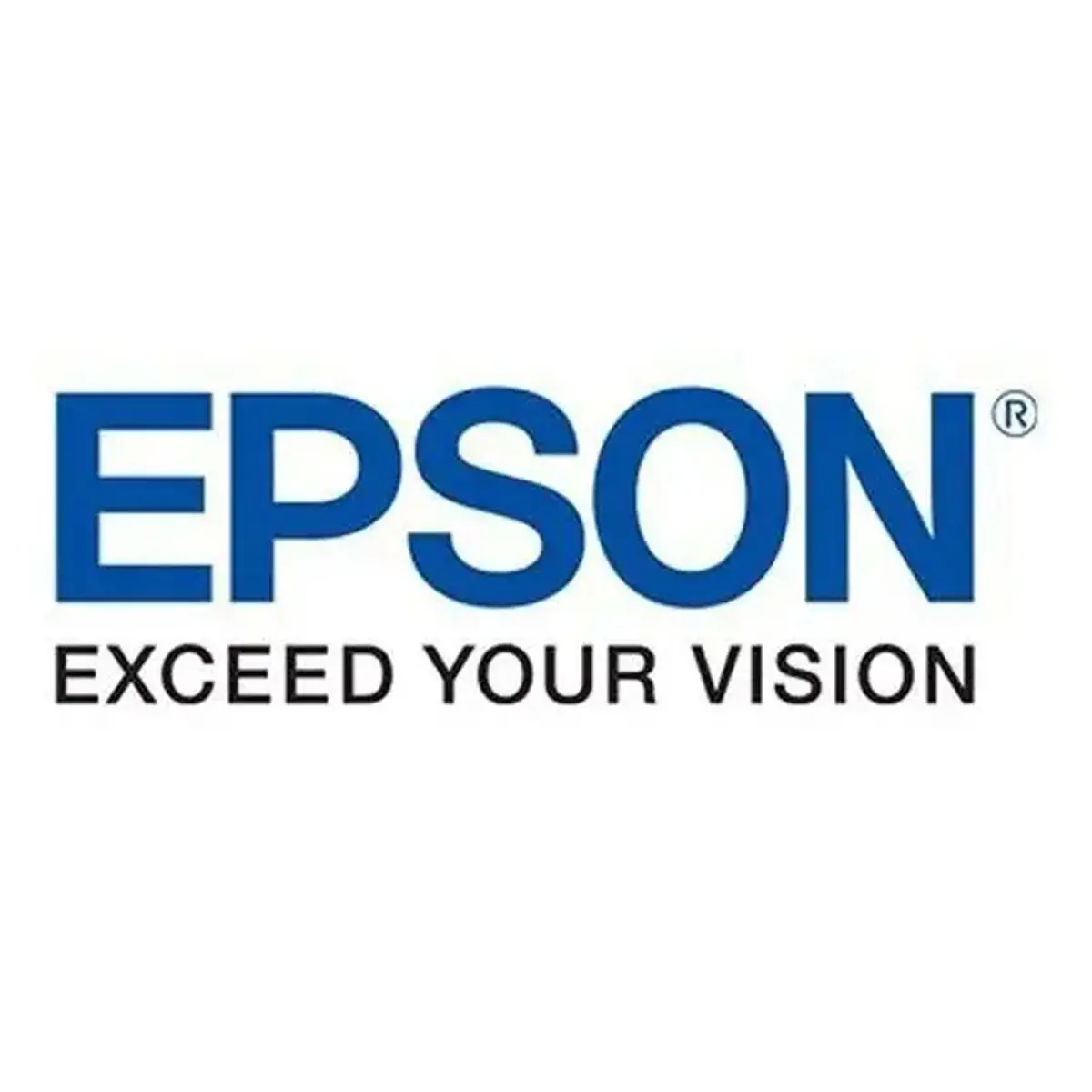 EPSON Singlepack UltraChrome XD2 Black photo du produit