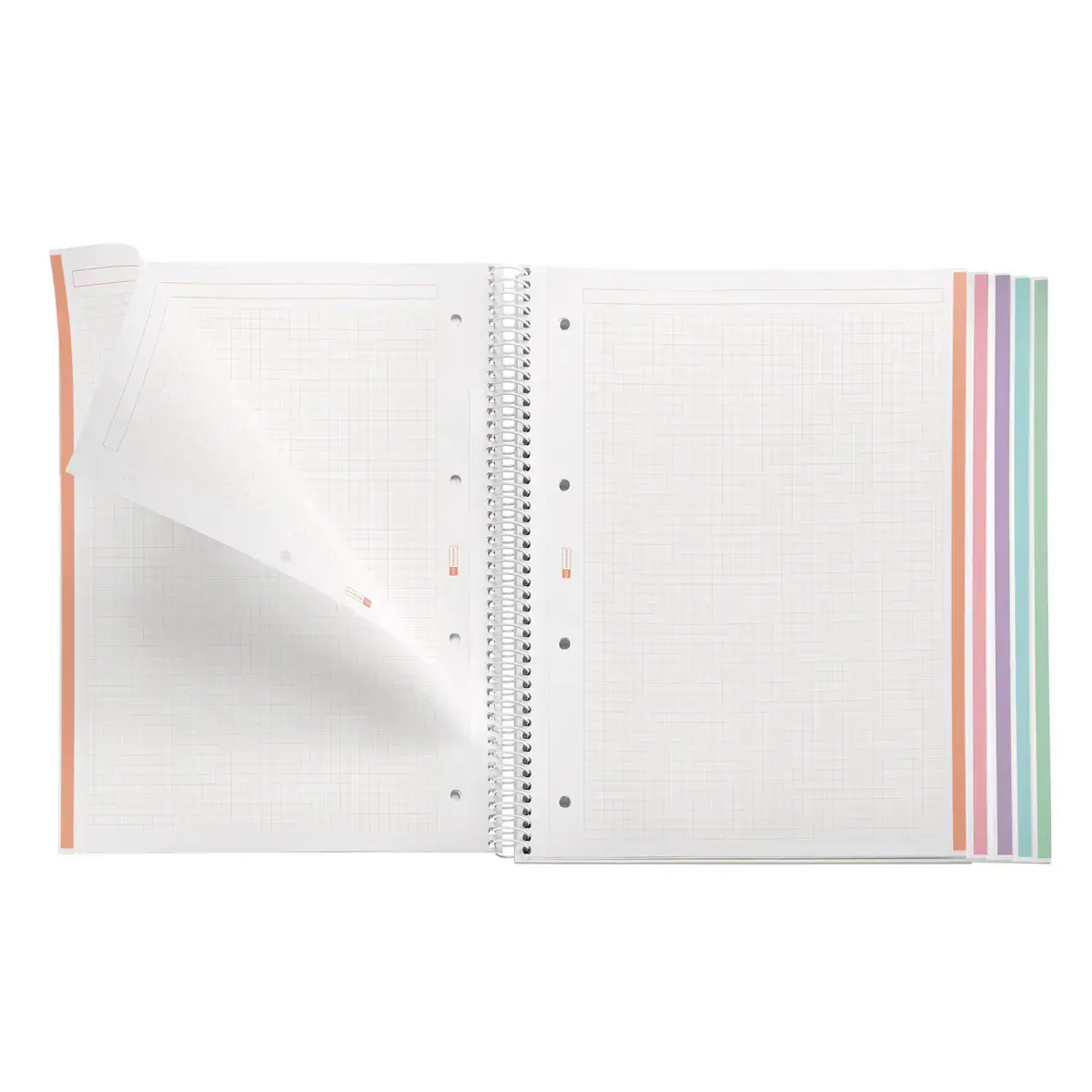 Notebook Emotions Rigide A4 Quadrillé 5 x 5 mm 120 feuilles 5 couleurs Lavande - Miquel Rius photo du produit
