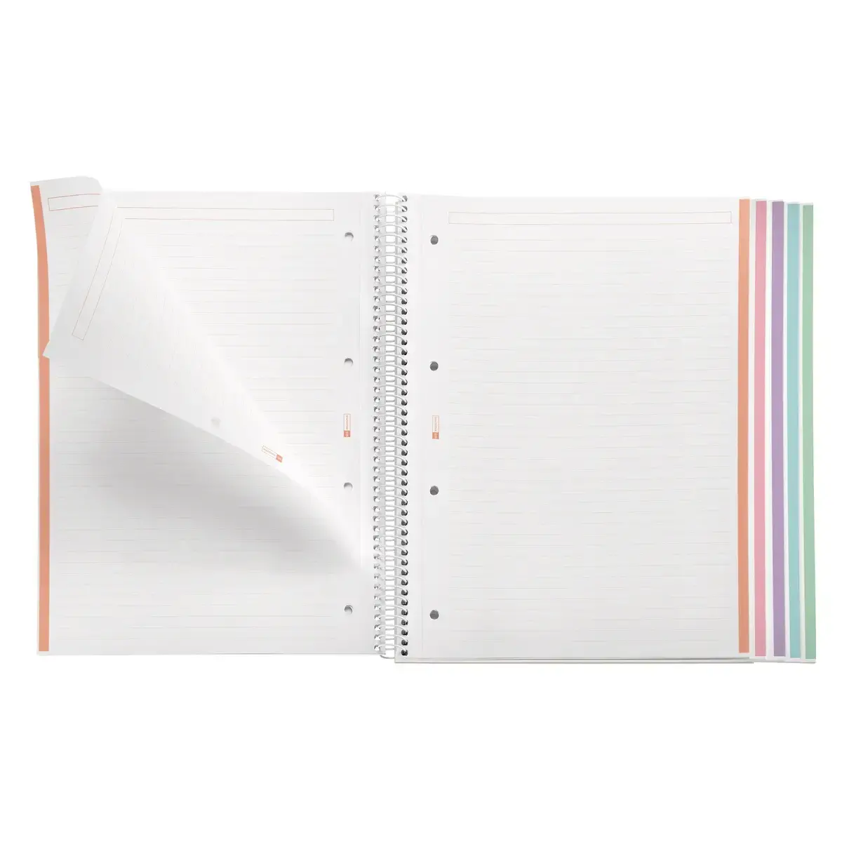 Notebook Emotions Rigide A4 Ligné 7mm 120feuil. 5coul. Lavande photo du produit