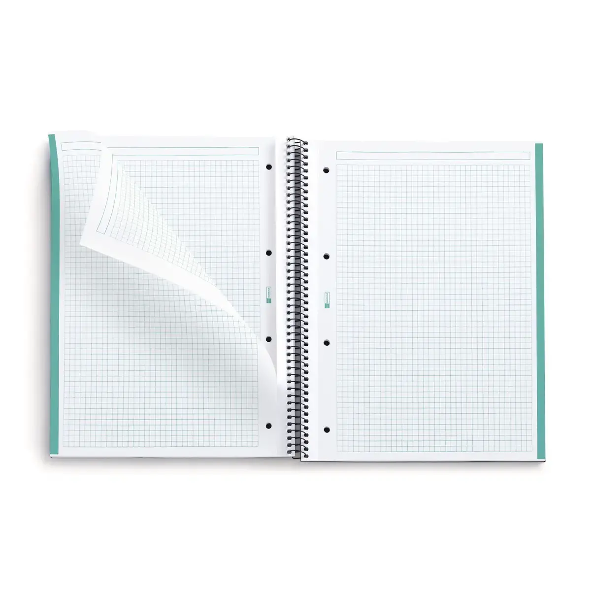 Notebook The Original Rigide A4 Quadri. 5x5mm 80feuil. Aqua photo du produit