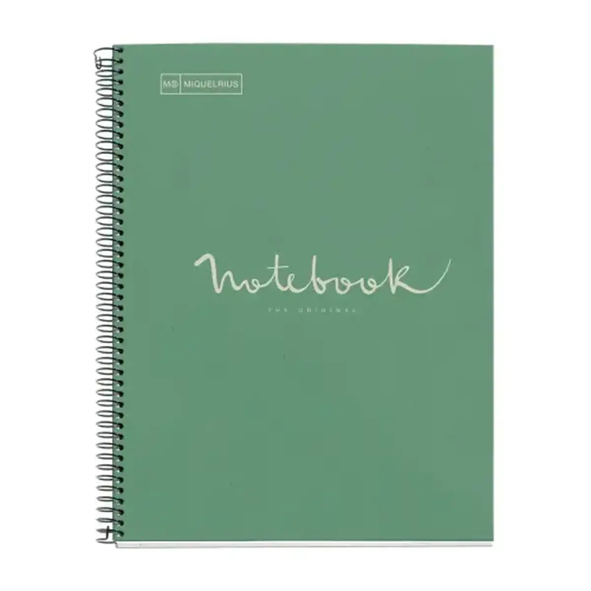 Notebook Eco Emotions Recycl&eacute; A4 Lign&eacute; 7mm 80feuil. Menthe photo du produit