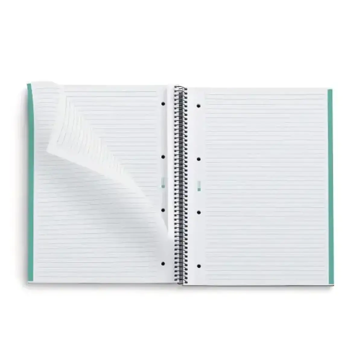 Notebook Eco Emotions Recycl&eacute; A4 Lign&eacute; 7mm 80feuil. Menthe photo du produit
