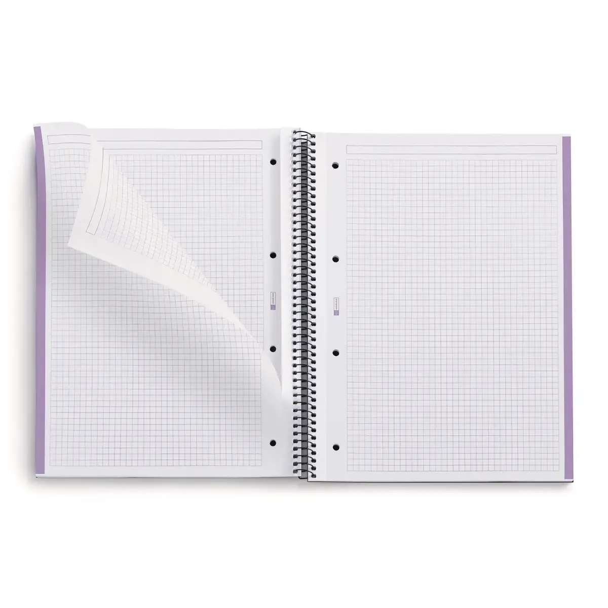 Notebook Eco Emotions Recyclé A4 Quadri. 5x5mm 80feuil. Lavande photo du produit