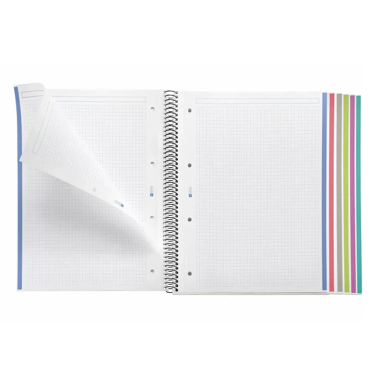 Notebook The Original Souple A4 Quadrill&eacute; 5 x 5 mm 150 feuilles 6 couleurs Kaki - Miquel Rius photo du produit