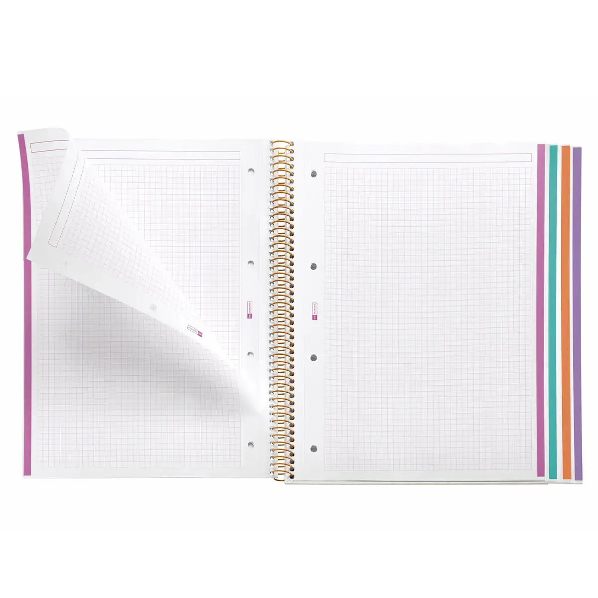Notebook Lifestyle Rigide A4 Quadri. 5x5mm 120feuil. 4coul. Zigzag photo du produit