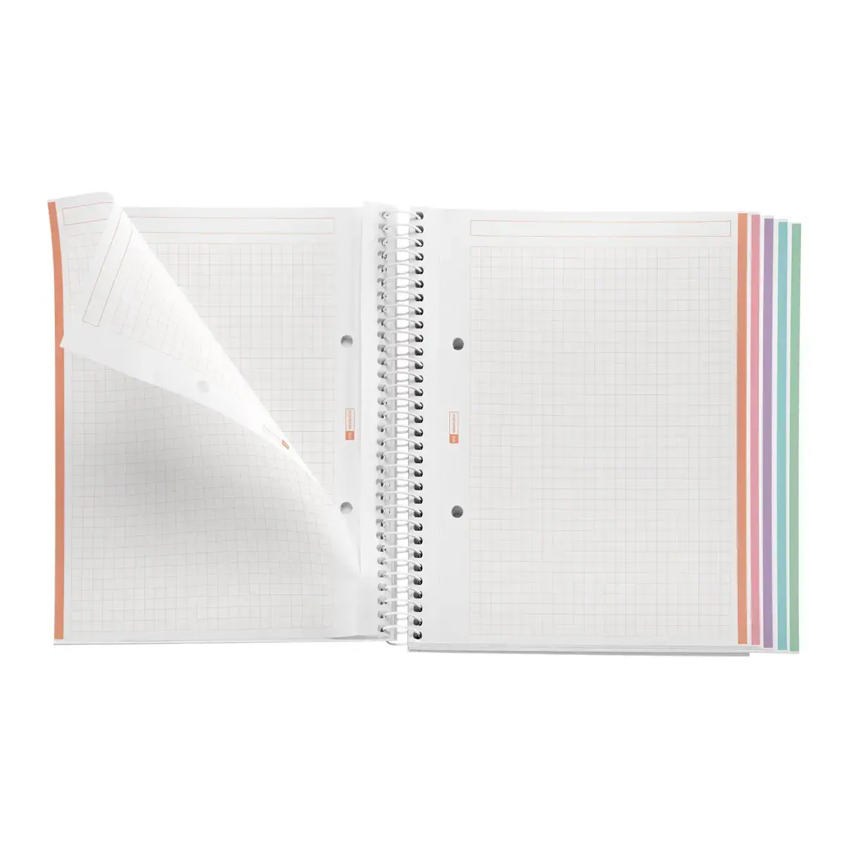 Notebook Emotions Souple A5 Quadrill&eacute; 5 x 5 mm 120 feuilles 5 couleurs Rose - Miquel Rius photo du produit