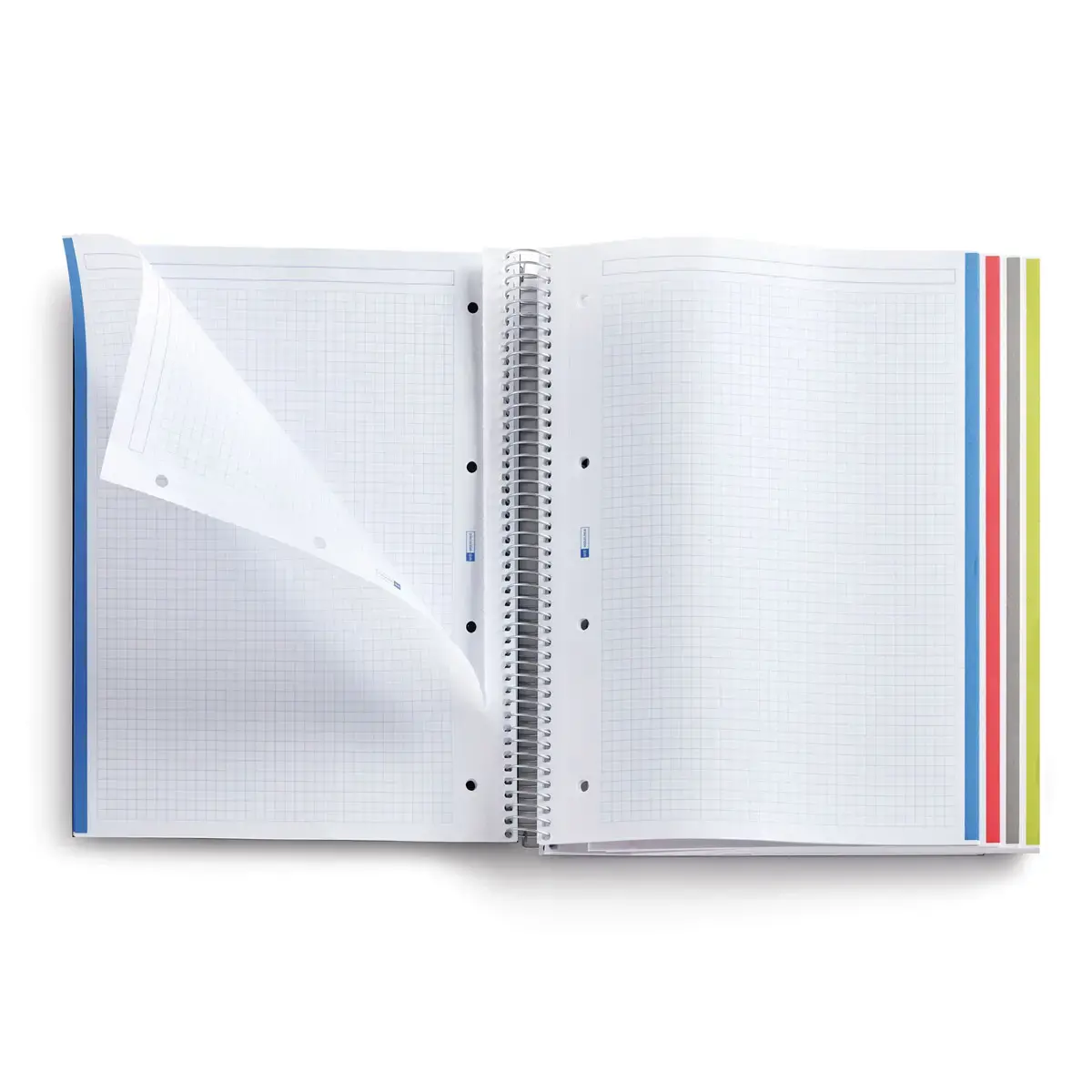 Notebook The Original Carton A4 Quadrillé 5 x 5 mm 160 feuilles 4 couleurs Grafit - Miquel Rius photo du produit