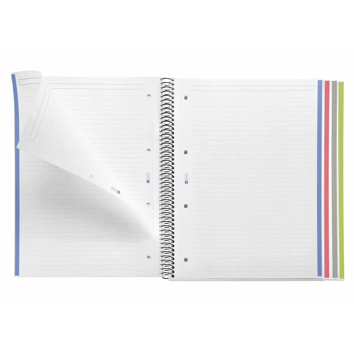 Notebook The Original Carton A4 Lign&eacute; 7mm 160feuil. 4coul. Grafit photo du produit