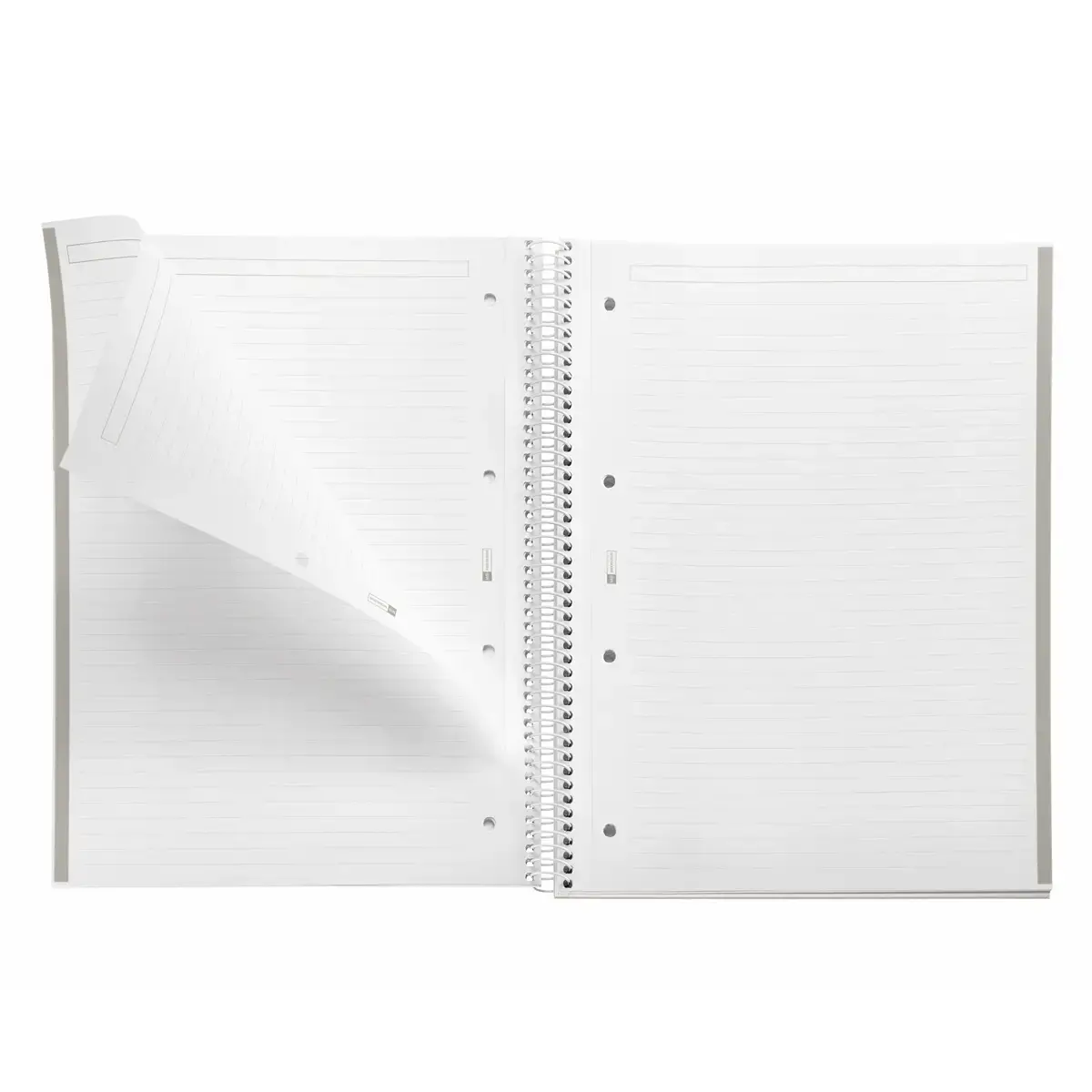 Notebook Emotions Rigide A4 Ligné 7mm 80feuil. Gris photo du produit