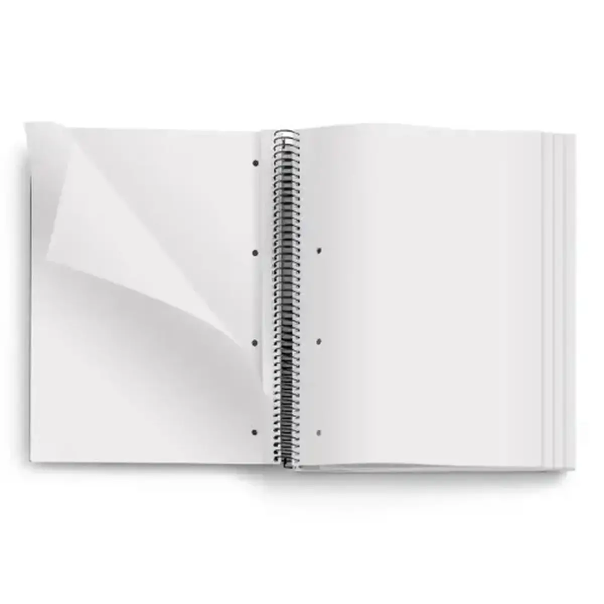 Notebook Eco Design Recyclé A4 Lisse 120feuil. 4coul. Feuilles photo du produit