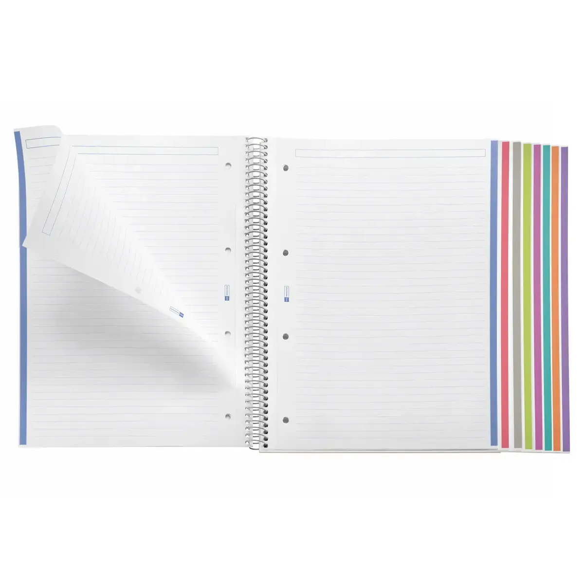 Notebook The Original Souple A4 Ligné 7 mm 200 feuilles 8 couleurs Noir - Miquel Rius photo du produit